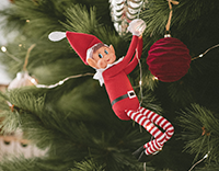 Weihnachtsbaumbeleuchtung
