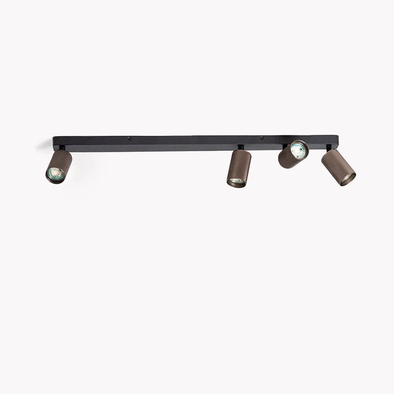 Ceiling Lamps with Spots