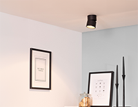 Ceiling Lights