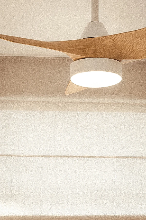 Ceiling Fans