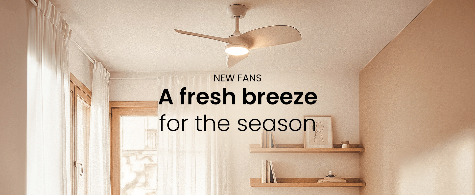 Ceiling Fans