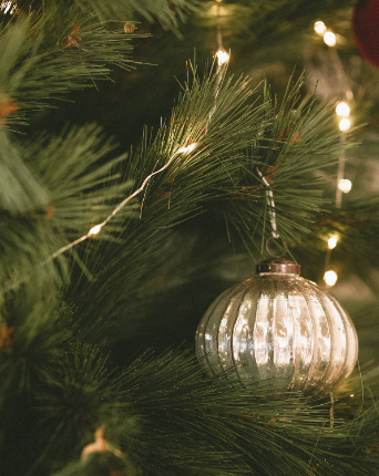 Weihnachtskränze