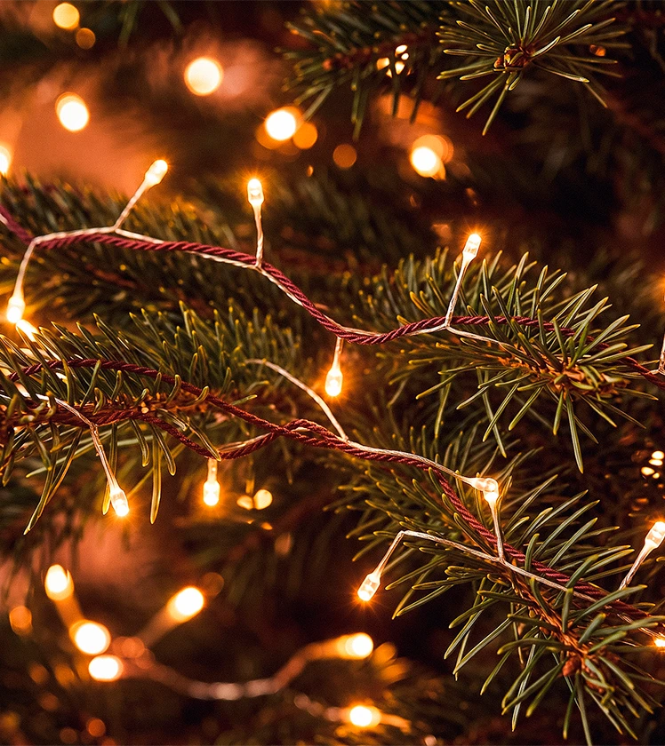 Weihnachtsbeleuchtung