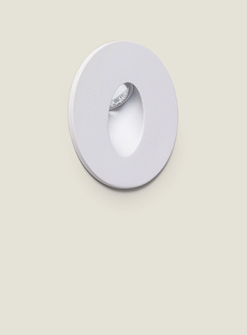 Image Collection Adam