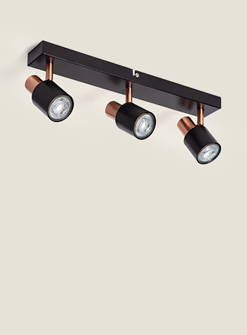 Bild Kollektion Albus