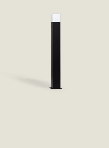 Image Collection Augusta