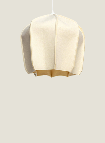 Immagine collezione Azalea