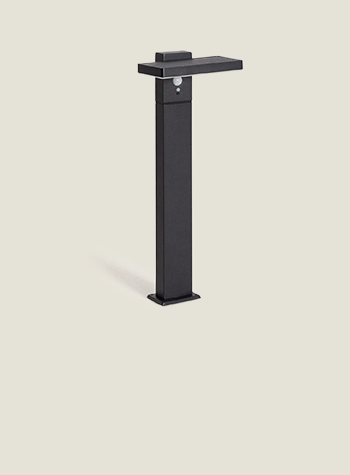 Immagine collezione Bran