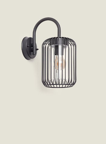 Immagine collezione Dadawa