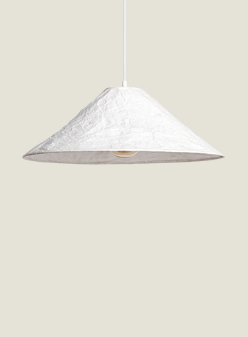 Bild Kollektion Rapa