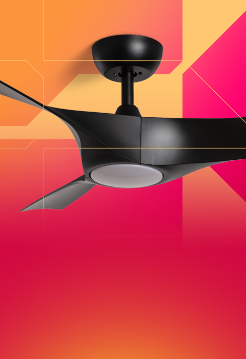 Image Ceiling Fans