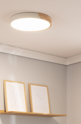 Ceiling Lamps Ceiling Lamps