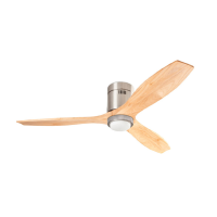 Ventilateurs de Plafond