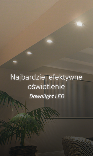 ZOBACZ WIĘCEJ