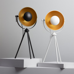 Collectie Davorza