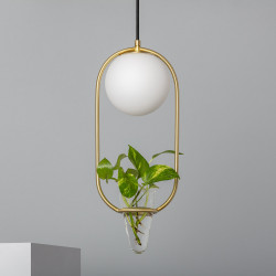 Collectie Moonlighter