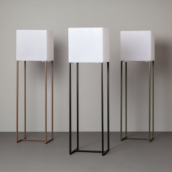 Collectie Tiber