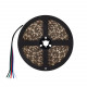 Tira LED 24V Srip light  60LED/m 5m RGBW IP20