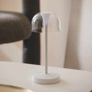 Lendora Portable Outdoor Metal LED Table Lamp with Rechargeable Battery